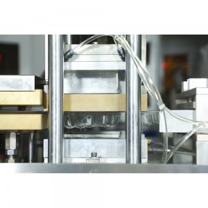 AC-600 Automatic Blister Paper Card Packing Machine